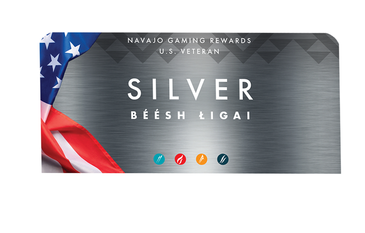 vet_silver https://www.twinarrows.com/wp-content/uploads/2026/07/vet_silver-1.png