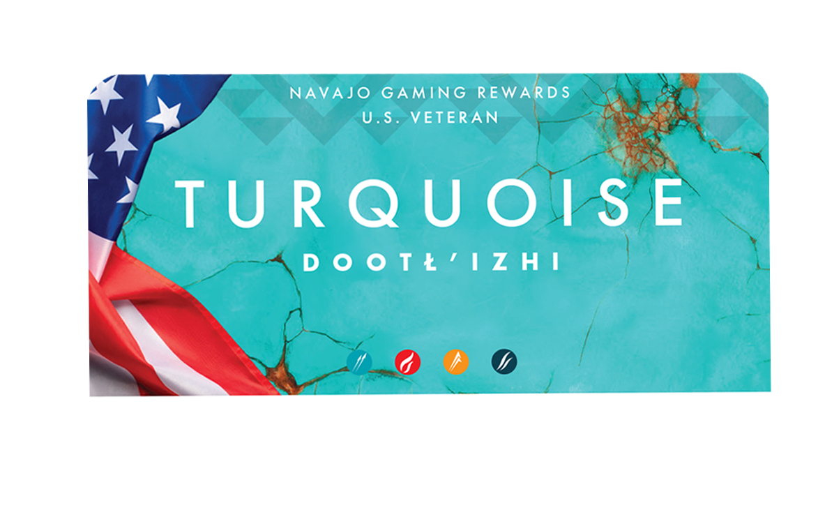 vet_turq https://www.twinarrows.com/wp-content/uploads/2026/07/vet_turq-1.png